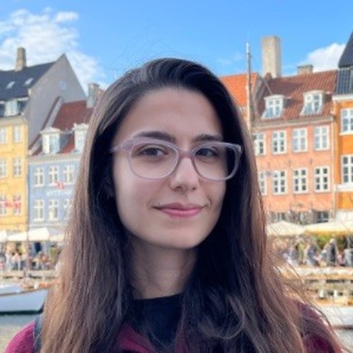 A Portrait of Shirin Amouei