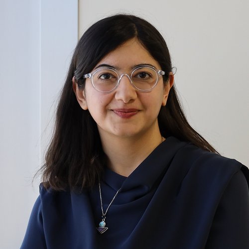 A Portrait of Fateme Rajabiyazdi