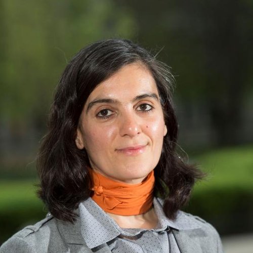 A Portrait of Rosta Farzan